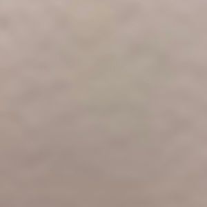 Iso women 2x men 42x32